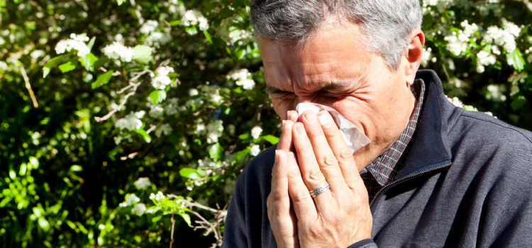 A Primavera e as várias formas de alergia